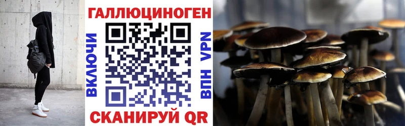Купить  Старица  Галлюциногенные грибы мухоморы 